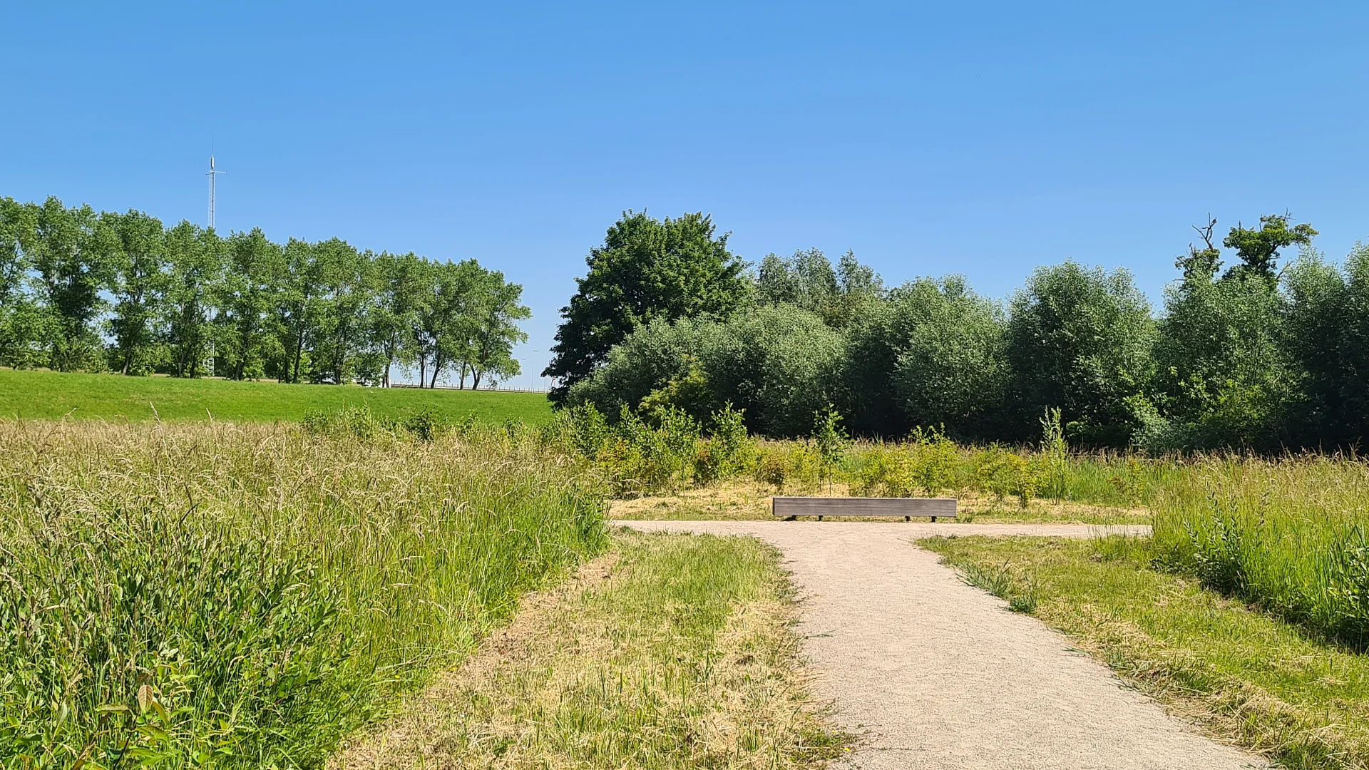 Groene zoom havengebied