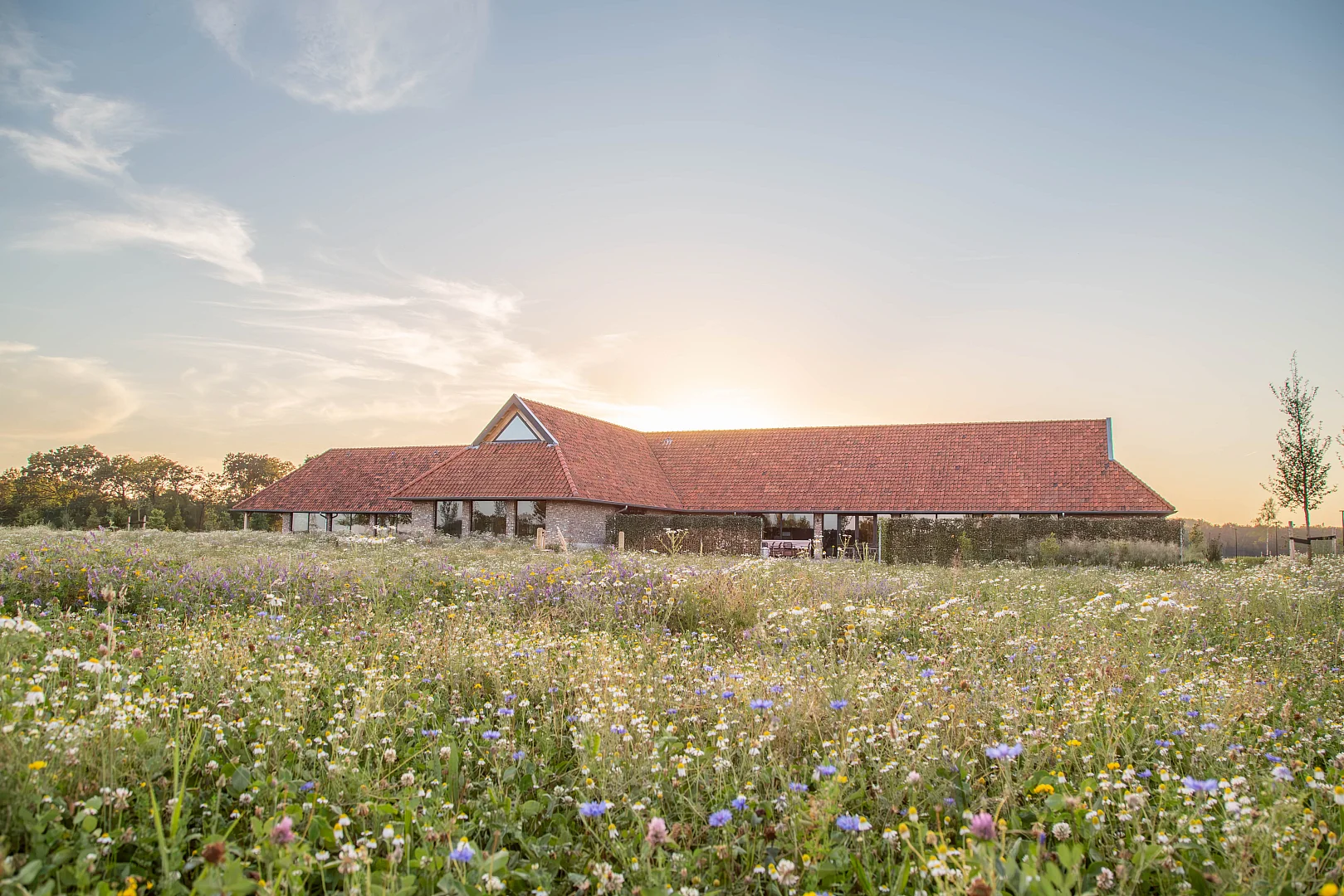 Landschap voor afscheid en herinnering