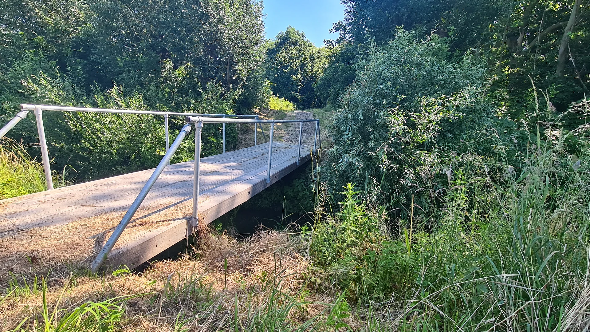 Groene zoom havengebied