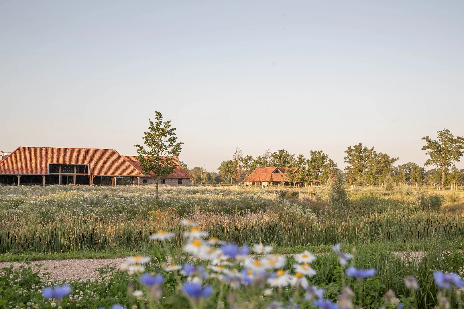 Landschap voor afscheid en herinnering