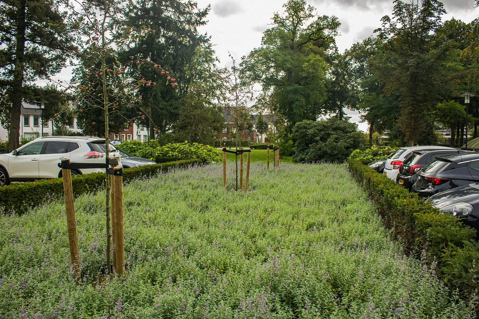 Herinrichting kloostertuin