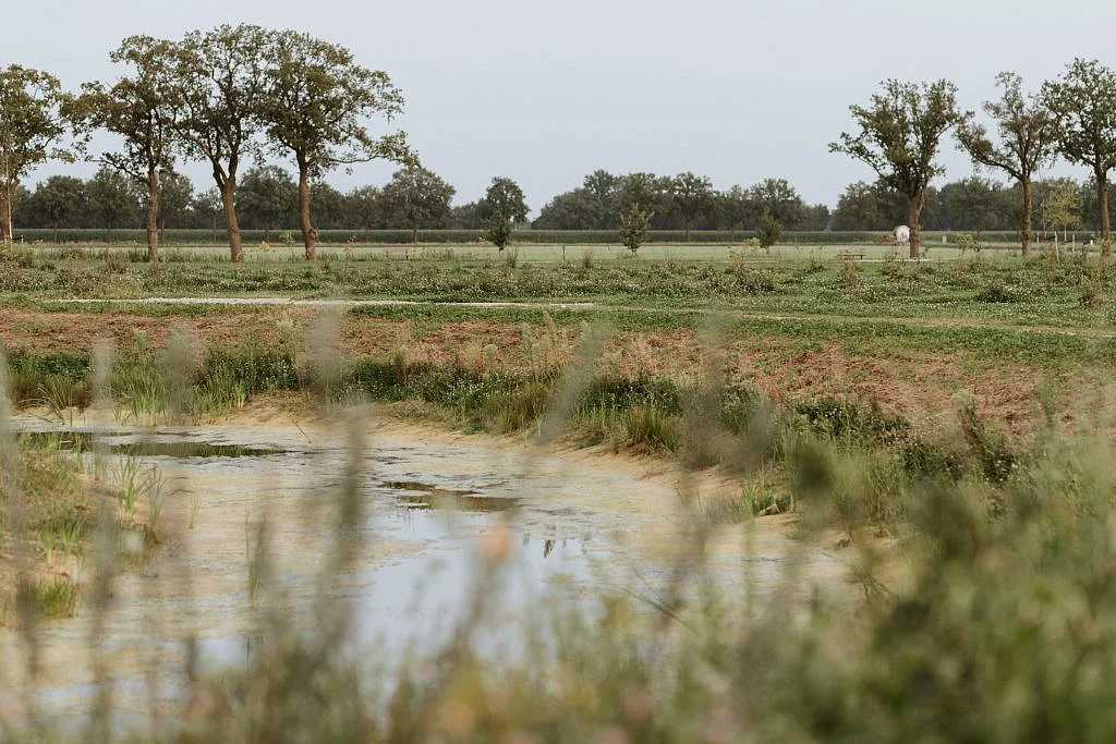 Landschap voor afscheid en herinnering