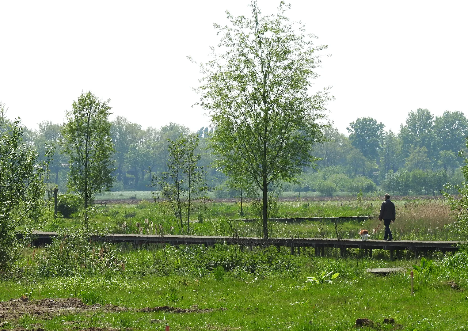 Heroriëntatie De Hoge Regt