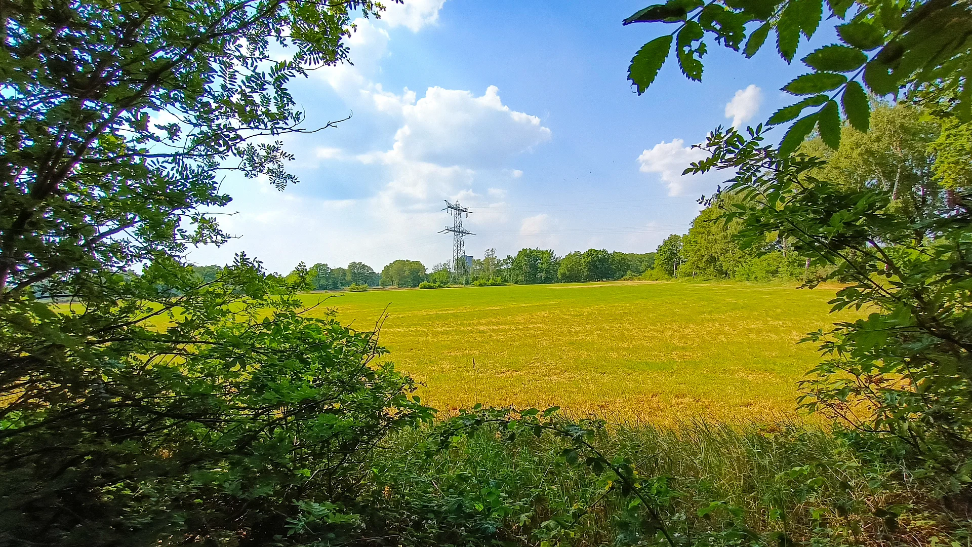 Landschappelijk wonen dorpsrand