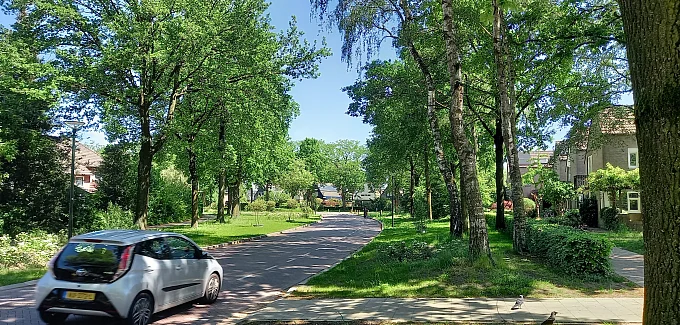 Groene, leefbare dorpsstraat