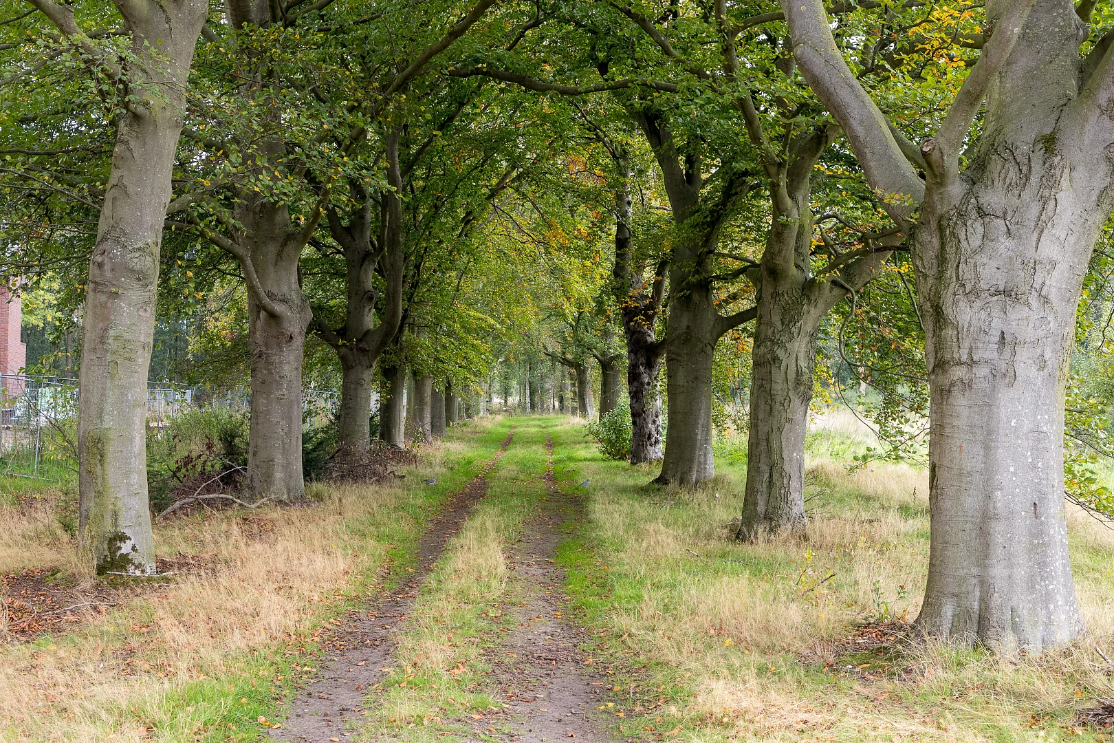 Zorgzaam landschap Kloostervelden