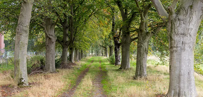 Zorgzaam landschap Kloostervelden