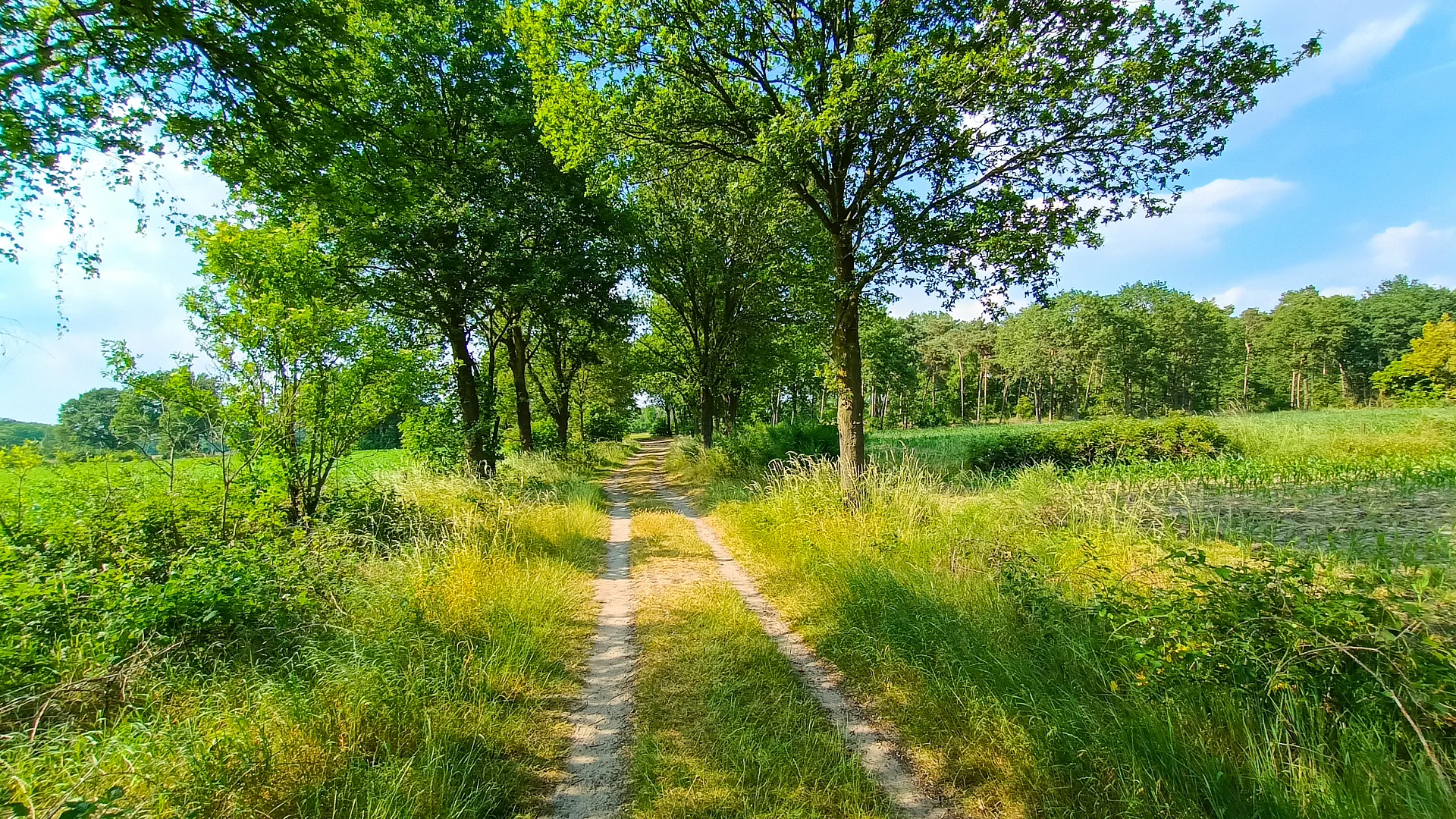 Landschappelijk wonen dorpsrand
