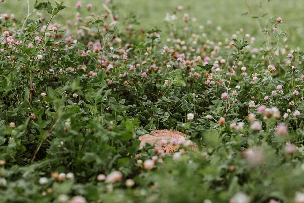 Landschap voor afscheid en herinnering