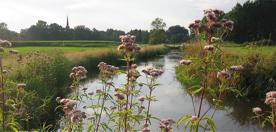 Kwaliteitskader landschap