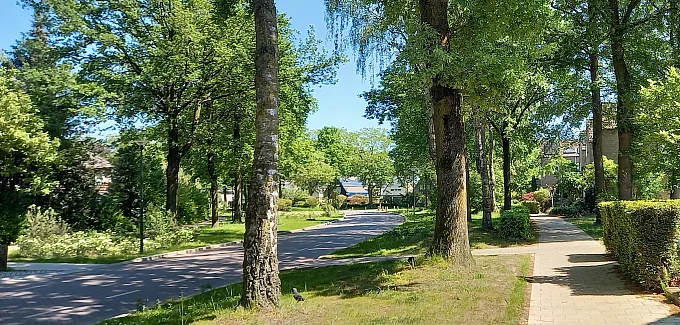 Groene, leefbare dorpsstraat