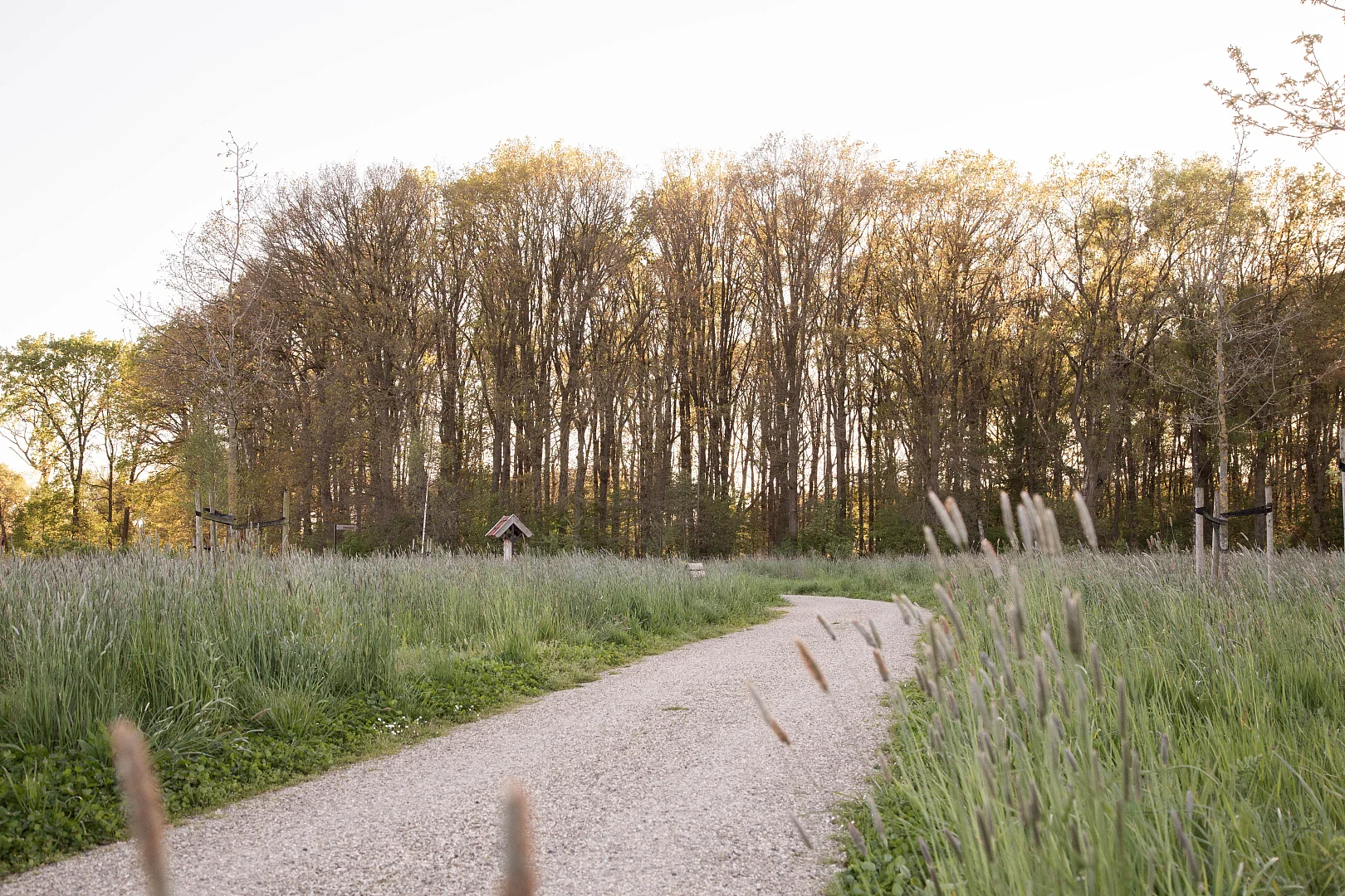 Landschap voor afscheid en herinnering