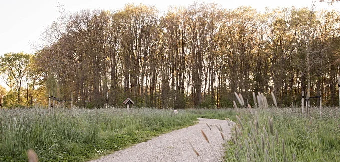 Landschap voor afscheid en herinnering