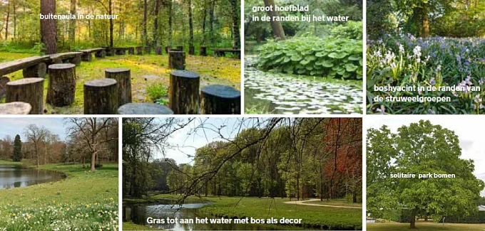 Landschap voor afscheid en herinnering